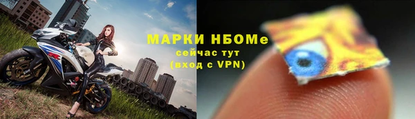гашик Белокуриха