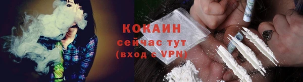 гашик Белокуриха