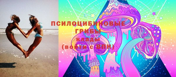 гашик Белокуриха