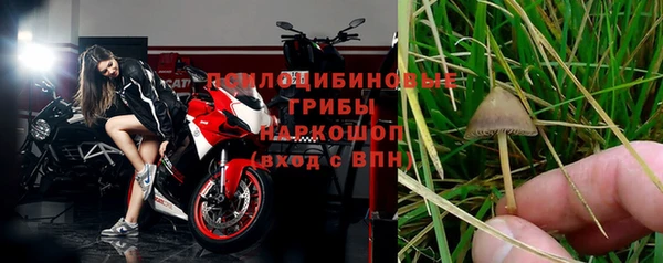 гашик Белокуриха