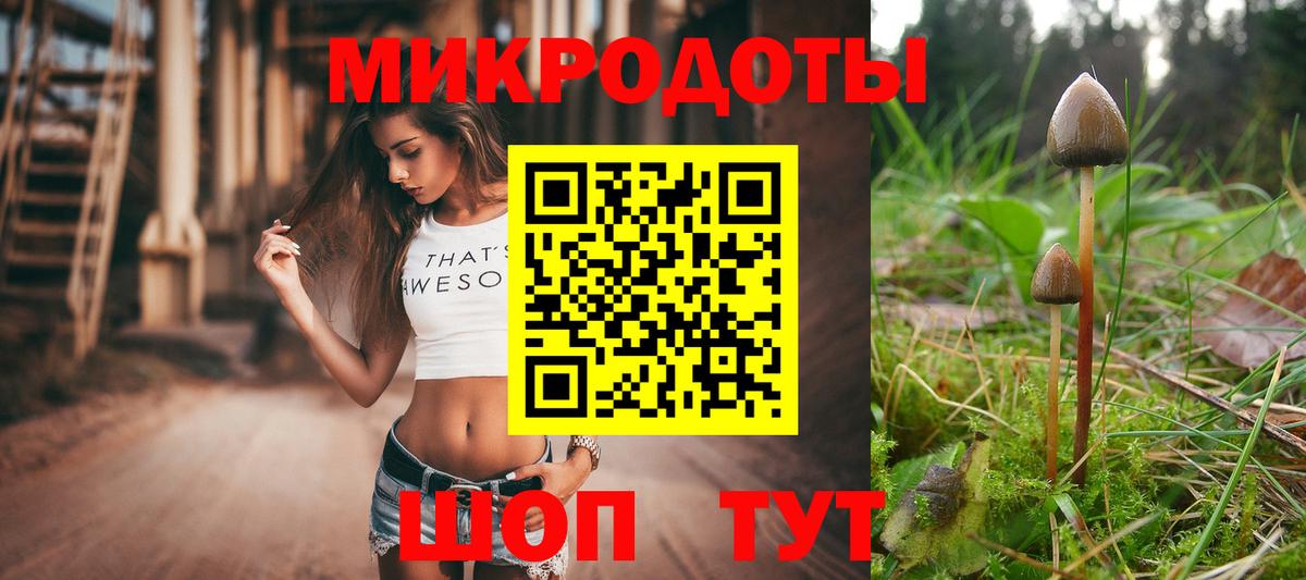 где можно купить наркотик  Вход с VPN  Воркута  Псилоцибиновые грибы мухоморы  Галлюциногенные грибы прущие грибы 
